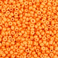 Seed beads 11/0 (2mm) Neon orange